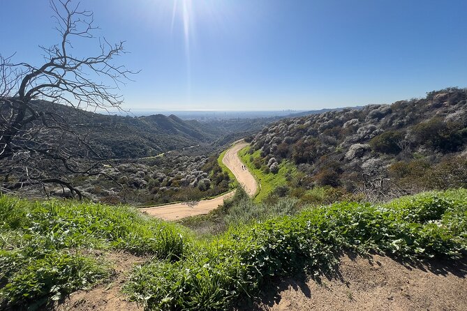 The Premier Hollywood Sign Tour: Nature in the Heart of the City - Discovering the History and Culture of the Area