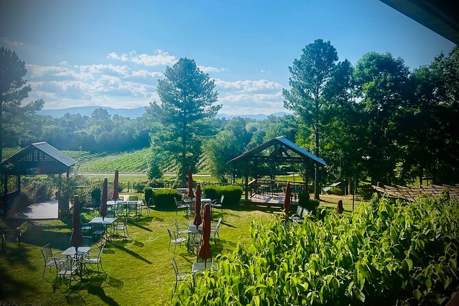 Three Vineyards Half Day Private Wine Tour Review - Insights on Transportation and Pickup Locations
