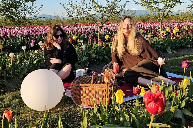 Tulip Valley Farms U Pick Experience - Accessibility and Additional Information