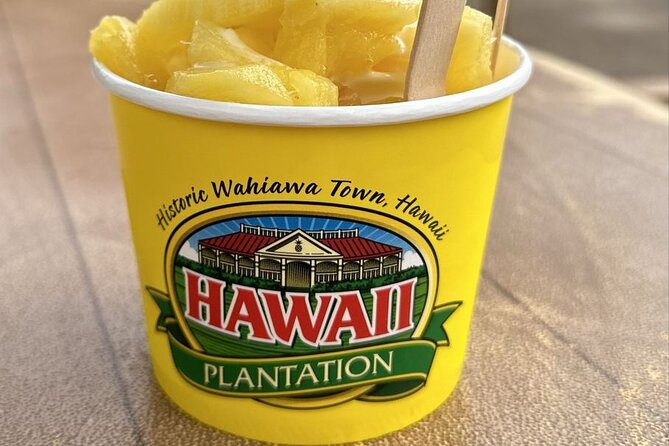 Turtle Snorkeling and Dole Plantation Tour Review - Evaluating the Value for Money