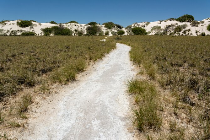 White Sands National Park Tour Review - Cost Analysis: Value for Money