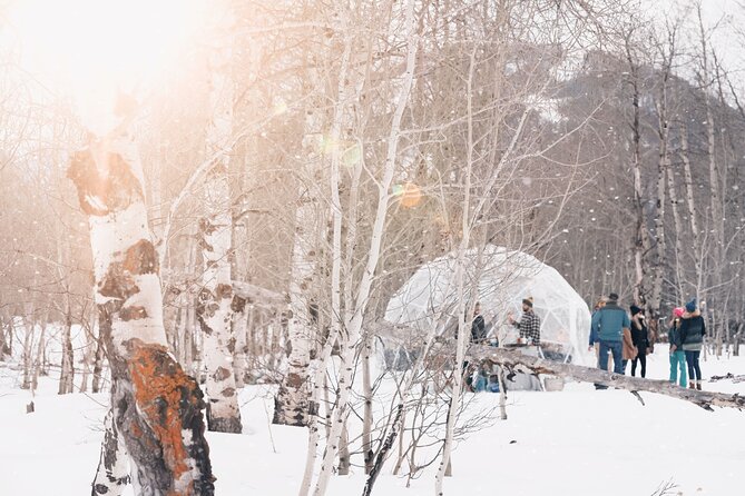Wildlife Safari, Elk Refuge Sleigh Ride, Winter Camp Igloo Dinner - Included Amenities for Your Adventure