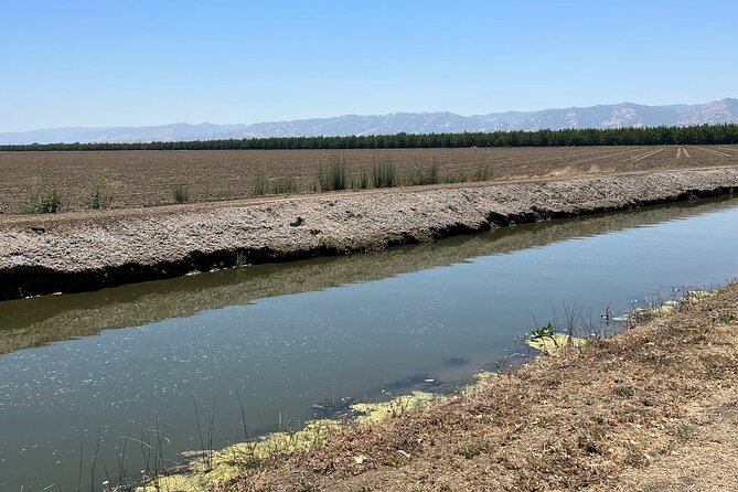 Yolo County Explorer: Culinary & Cultural Tour Review - Ending in Winters: Culinary Conclusions