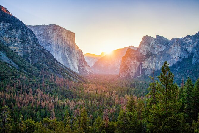 Yosemite National Park Audio Driving Tour - User Feedback and Reviews