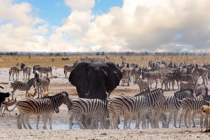 6 DAYS ETOSHA,SWAKOPMUND & SOSSUSVLEI- NAMIBIA (Lodging)