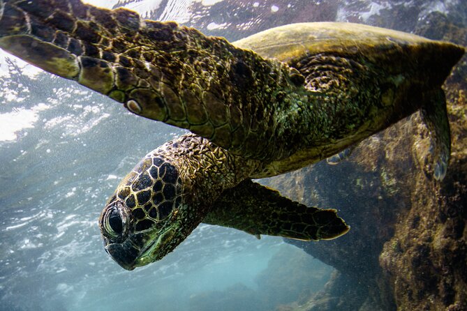 10 Passenger Max Customizable Private Charter - Why Choose a Private Charter in Hawaii