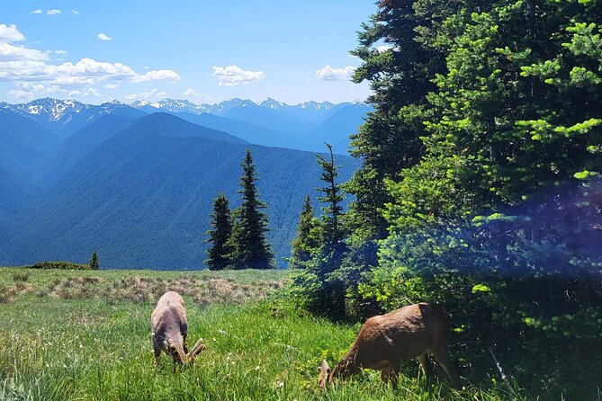 2 Day Mt Rainier All-Inclusive Tour Review - Final Thoughts and Tour Value Assessment