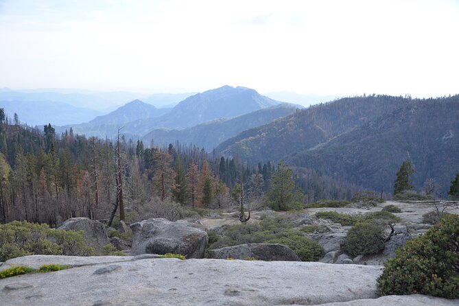 2 Days Private Tour to Sequoia and Kings Canyon Parks From LA - Why Choose This Tour?