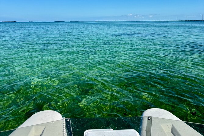 2 Hour Key West Mini Catamaran Tour Review - Review and Feedback From Participants