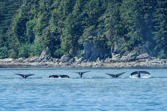 4 Course Dinner Cruise Plus Eco Tour Review - Evaluating the Price and Value of the Tour