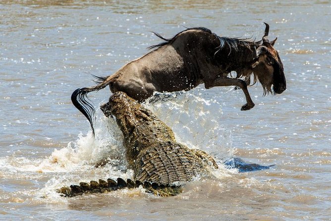 5 Days Hells Gate, L. Naivasha, L. Nakuru & Masai Mara Luxury Safari