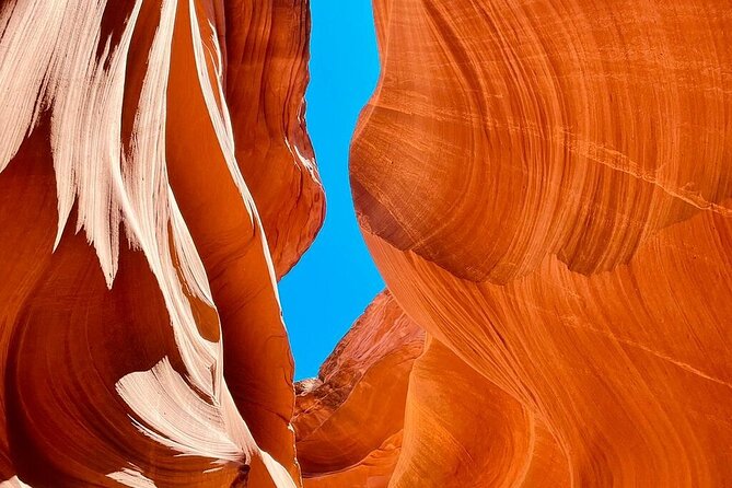 7 Days Tour: Los Angeles to Yellowstone Review - Unique Experiences: Horseshoe Bend and Antelope Canyon