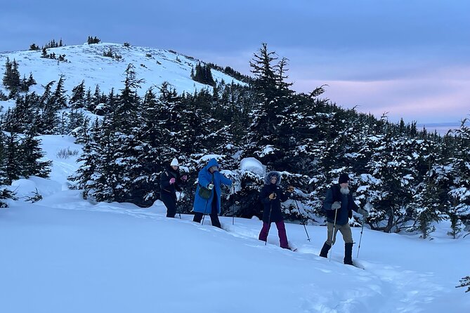 Advanced Snowshoeing Adventure - Scenic Views and Wildlife Observation