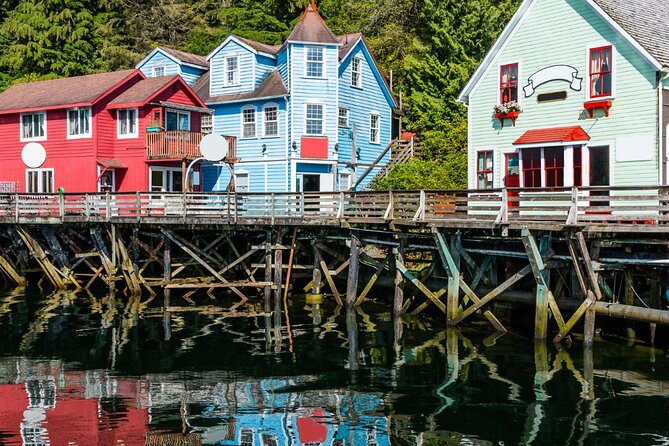 Alaska Wildlife Safari and Sightseeing Tour Review - Recommendations for Future Travelers