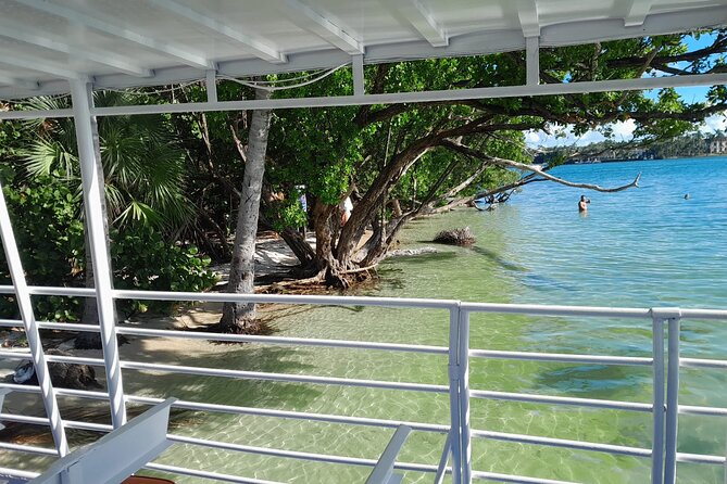 Bayside Market Place Snorkeling for Beginners - Why Choose Bayside Market Place for Snorkeling