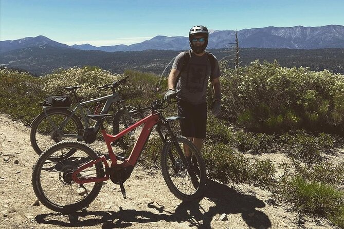 Big Bear Bike Tours Review: Adventure Awaits - Customer Reviews and Feedback