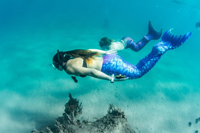 Blue Heron Bridge Mermaid Experience - Capturing the Memories