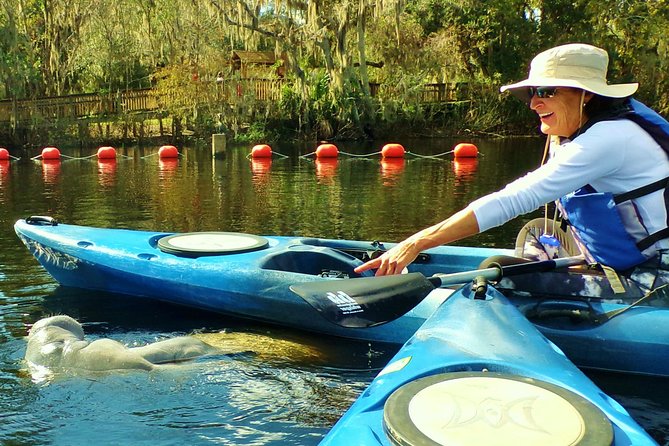 Blue Springs Manatee Tours Review - Tour Pricing and Inclusions