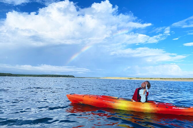 Cape Cod Kayak Rentals Review - Review Analysis: What Customers Say