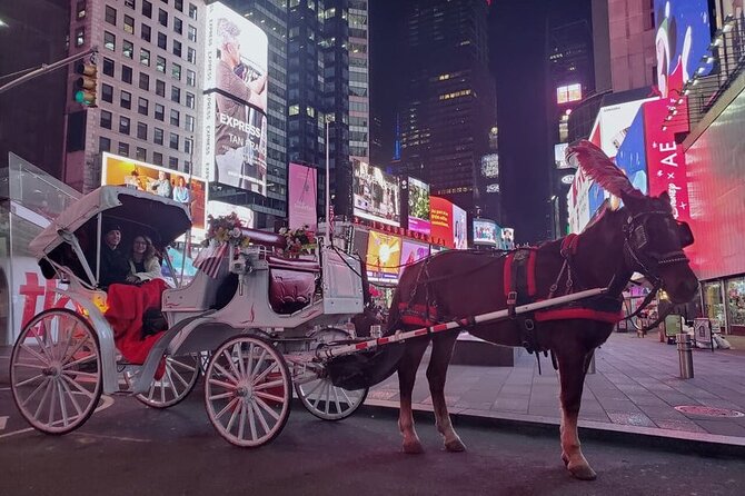 Central Park and NYC Horse Carriage Ride Review - Tips for a Pleasant Carriage Ride