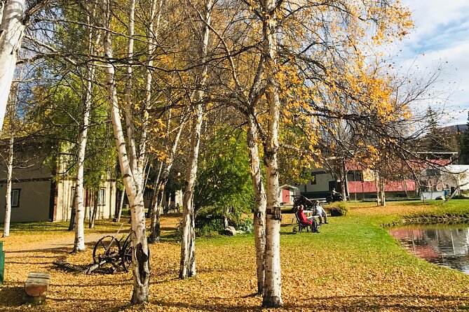 Chena Hot Spring Day Tour - Activities and Attractions