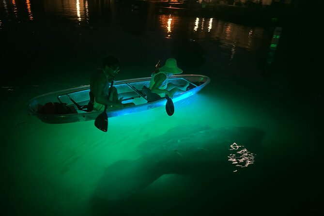 Clear Kayak Manatee Viewing Tour Review - Health and Safety Measures