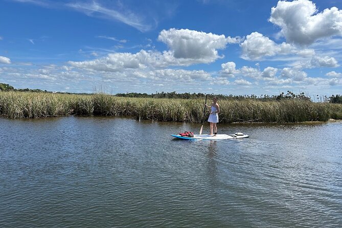 Crystal River Reserve State Park Electric Paddleboard Rentals - Exploring Crystal River Reserve State Park