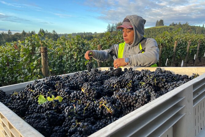 Custom Willamette Wine Tours From the Allison Inn and Spa - Exploring the Willamette Valley Wineries