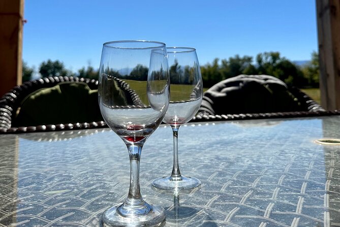 EBIKE Winery Tour in Penrose Review - Final Thoughts on the EBIKE Winery Tour Experience