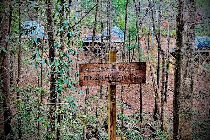 Elijay Hike W/ Waterfall & Wine Tasting Review - Personal Experience and Highlights From the Tour