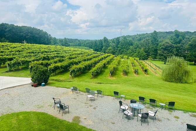 Elijay Three Vineyards Private Wine Tasting Tour From Atlanta - Booking and Flexibility Details