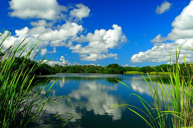 Everglades National Park Audio Tour Guide - Exploring the Diverse Ecosystems