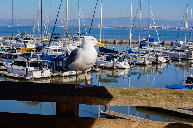 Fisherman's Wharf and Pier 39 Maritime Food Tour - Frequently Asked Questions