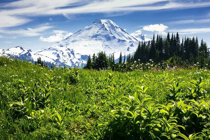From Seattle - Private Mt Baker and Cascades Tour in SUV - Recap