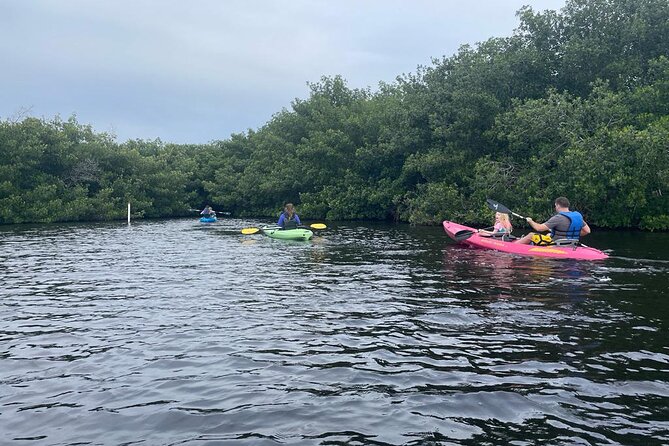 Full Day Everglades Combo Motorboat Eco and Kayak Tour - Tips for Your Adventure