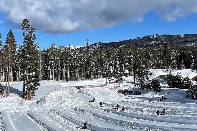 Full Day Private Lake Tahoe Tour From Oakland - Recap