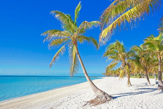 Full-Day Private Tour in Key West - Booking Information