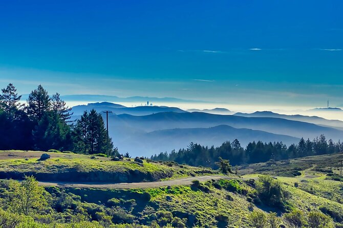 Golden Gate Bridge Bike Tour With Muir Woods & Sausalito Tour - What to Expect on the Tour