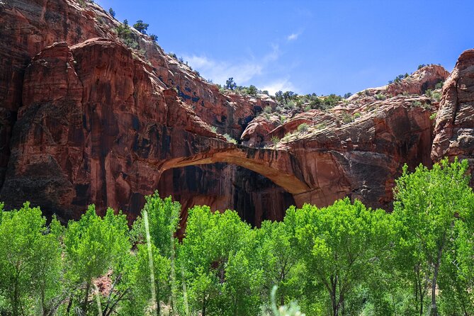 Grand Staircase Escalante and Scenic Byway 12 Audio Tour Guide - Accessibility and Support