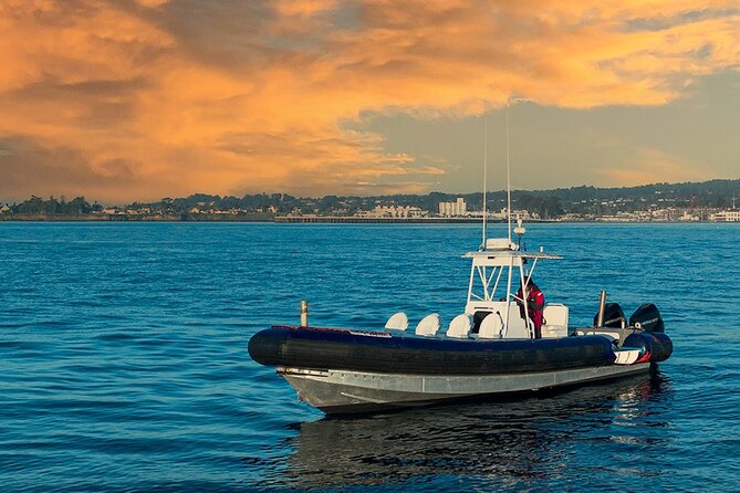 Great White Sharks Topside in Monterey Bay - Frequently Asked Questions