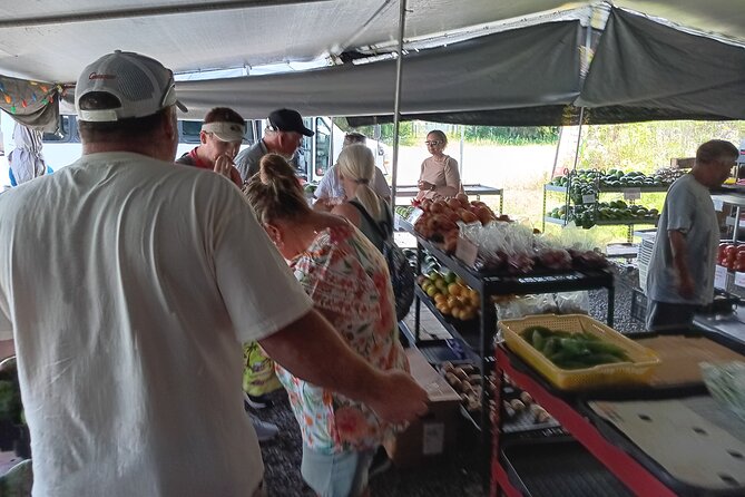 Hilo Land of Frozen Fire Review - Reviews and Traveler Feedback