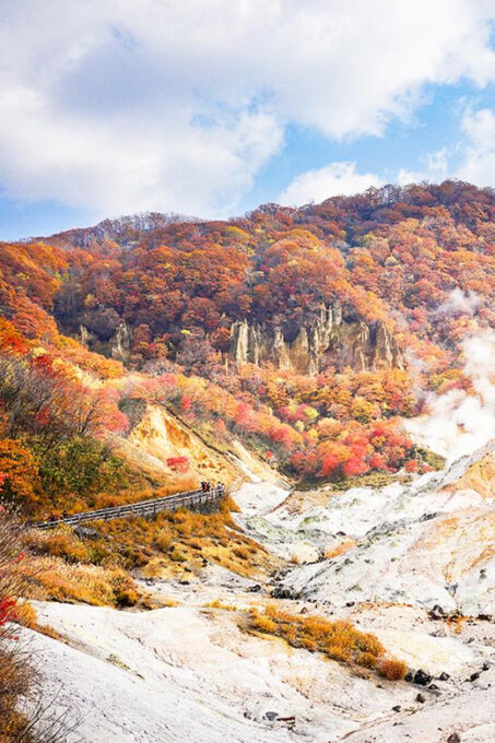 Hokkaido: Noboribetsu Hell Valley，Lake Toya & Otaru Day Tour - Additional Activities and Fees