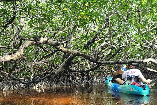 Kayak Through Mangrove Forests Review - Cancellation and Payment Options