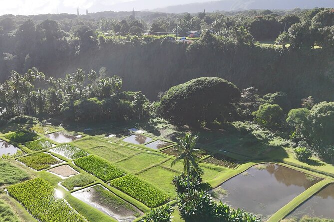 Maui's Sea Turtles, Waterfalls and Road to Hana Adventure - Cancellation and Booking Details