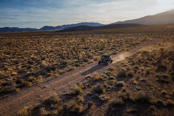 Mojave Desert Twilight RZR Quest, Las Vegas(Summer Months Only!:) - Booking and Cancellation Policy