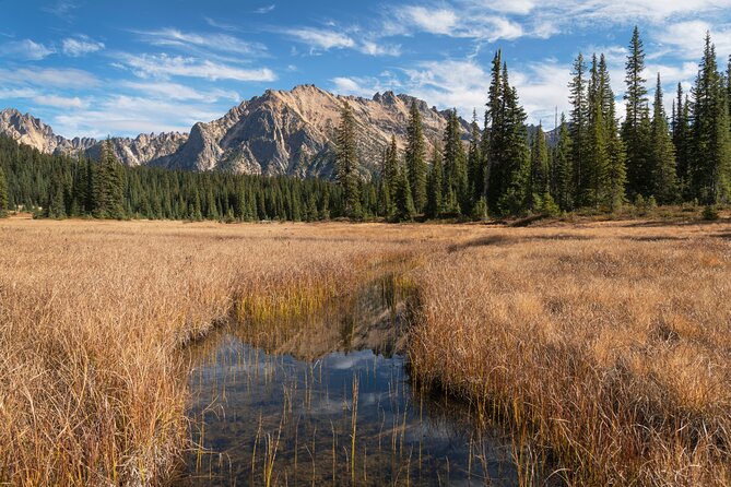 North Cascades Self-Guided Driving Audio Tour - Hands-Free Exploration Experience