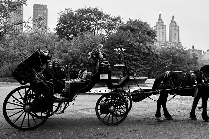 NYC Empire State Horses Carriage Ride in Central Park(55 Min) - Recap