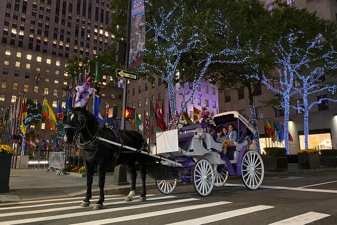 NYC Rockefeller Center Christmas Lights Ride Review - Customer Reviews and Feedback