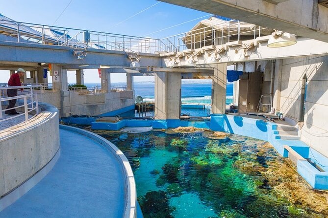 Okinawa Hip-hop Bus B Course Tour (Okinawa Churaumi Aquarium) - Customer Feedback