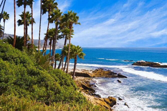 Orange County Beach Cities Tour Review - Child and Pet Accommodations